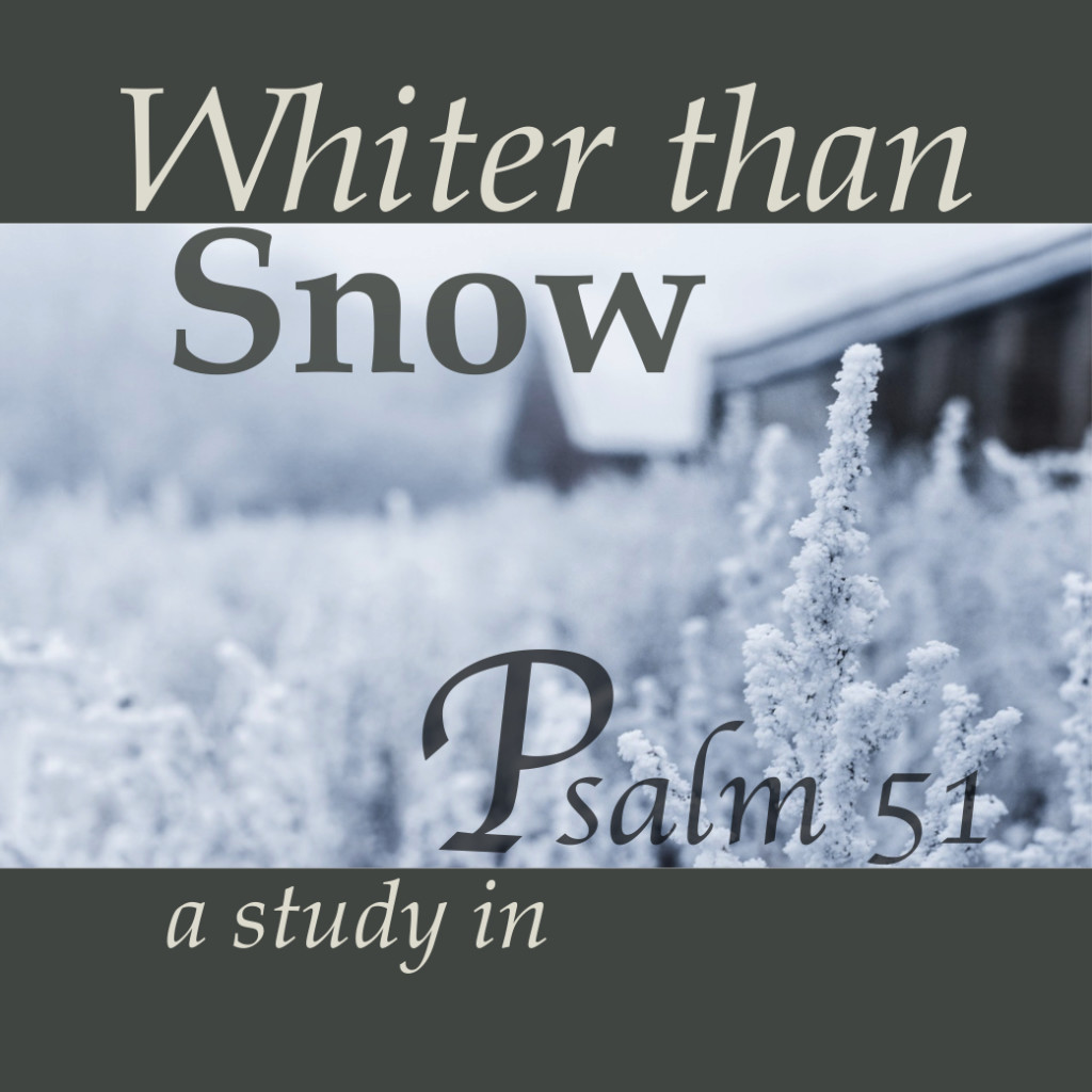Sermon Series Whiter Than Snow Psalm 51 Grace Baptist Church